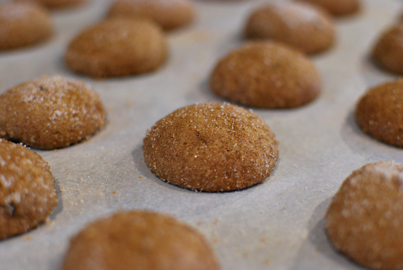 Nonfat Soft Gingersnap Cookies One Hundred Eggs