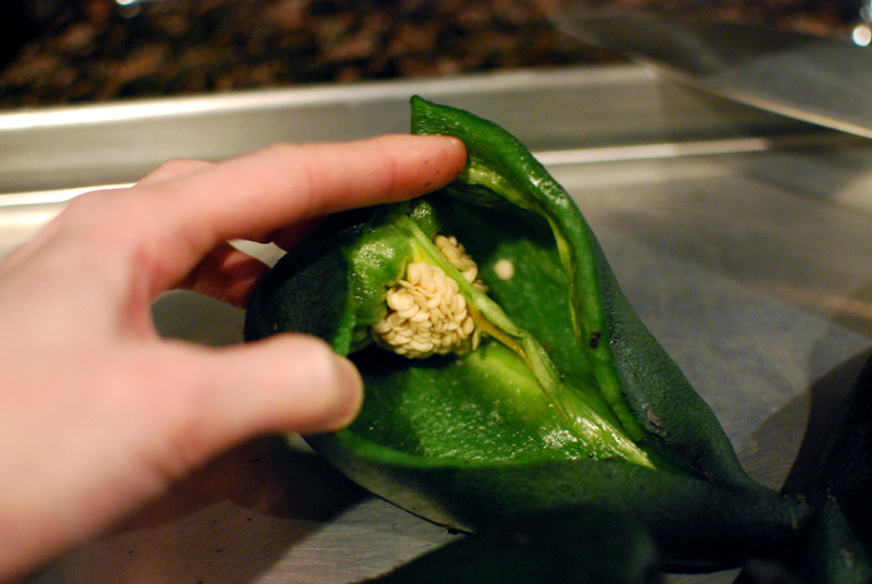 chiles 14