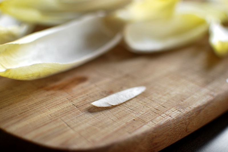 endive 4