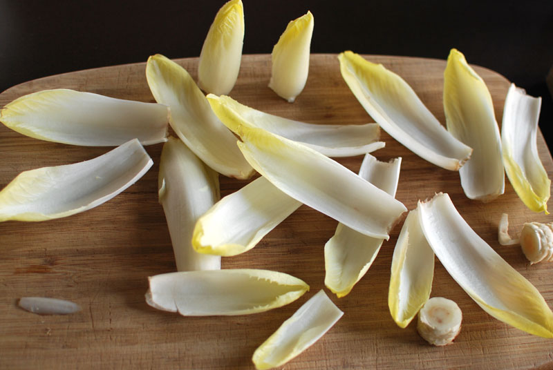 endive 5