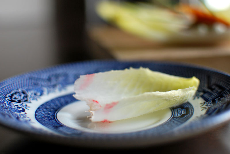 endive 6