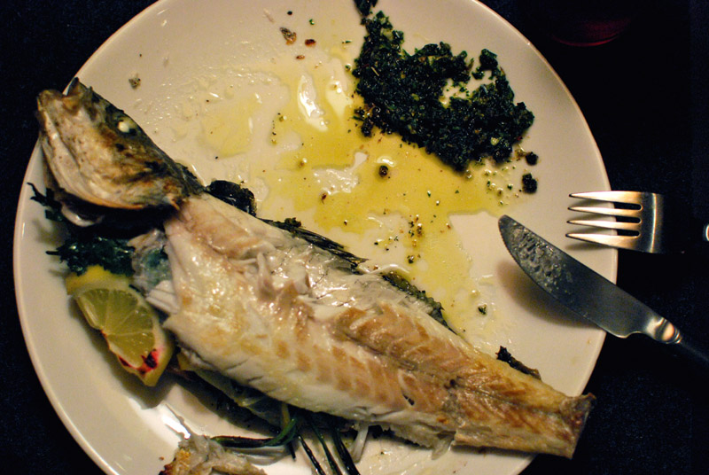 fish 1